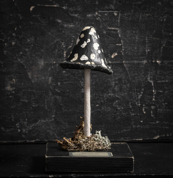 Melanie Bourlon coprin pie en papier mâché