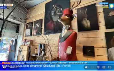 Vidéo « En Vadrouille : les créations originales d’une artiste locale » de BFM Lyon