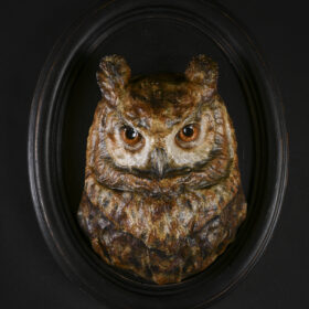 Hibou en portrait